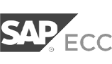 SAP Ecosystem