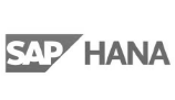 SAP S/4HANA